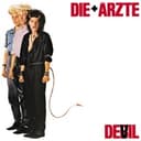 Zu spät by Die Ärzte cover