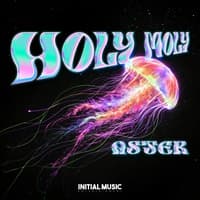 Holy Moly by ASTER cover