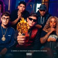 CHEIO DE FOGO by dj andreoli & Mc Jacaré & DJ LUCAS SILVA & Mc Mayarah cover