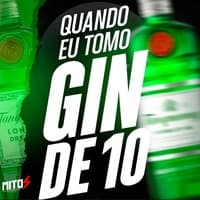 QUANDO EU TOMO GIN DE 10 by MC Neguinho do morro & mc nina & MITOS ENTRETENIMENTO cover