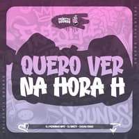 Quero Ver Na Hora H by DJ PEDRINHO MPC & DJ BRIZY & CACAU CHUU & FreesTyle Sounds cover
