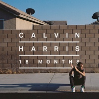 I Need Your Love (feat. Ellie Goulding) by Calvin Harris cover