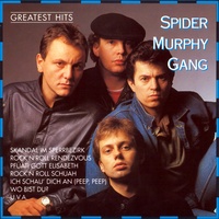 Skandal im Sperrbezirk by Spider Murphy Gang cover