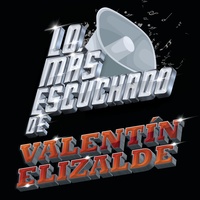Portada de Vencedor, de Valentín Elizalde