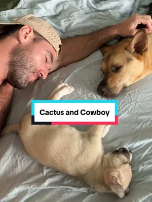 TikTok by @cactustherescue