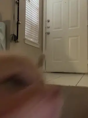 TikTok by @kklakarenn