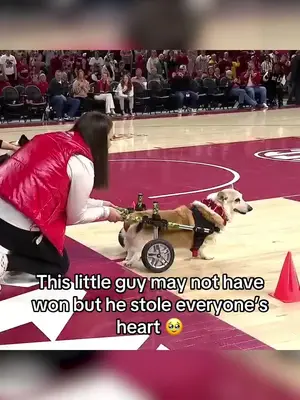 TikTok by @espn