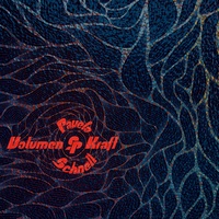 Amicelli by Pavelo & Schnell cover