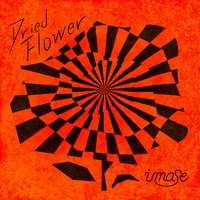 Dried Flower（imase）のカバー画像