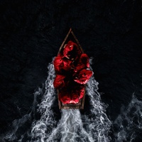 Mon amour ma musique artwork
