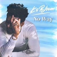 No way artwork