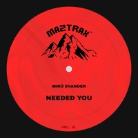 Needed You by Miró Evander cover