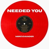 Needed You by Miró Evander cover