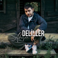 Deliller by Ahiyan cover