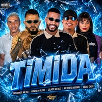 Timida artwork