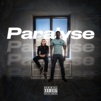 Paralyse by Afrique63 & Haaland936 cover