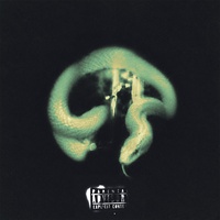 Shotta's. artwork